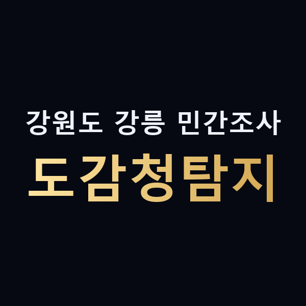 강원도 강릉 민간조사 도감청탐지 맥가이버