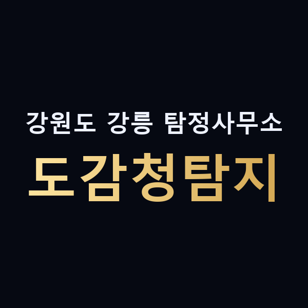 강원도 강릉 탐정사무소 도감청탐지 맥가이버