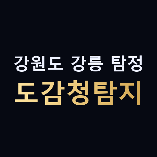 강원도 강릉 탐정 도감청탐지 맥가이버