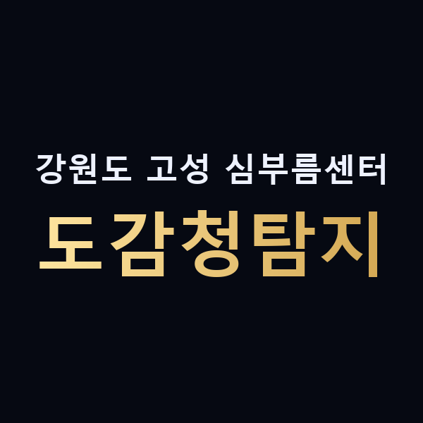 강원도 고성 심부름센터 도감청탐지 맥가이버