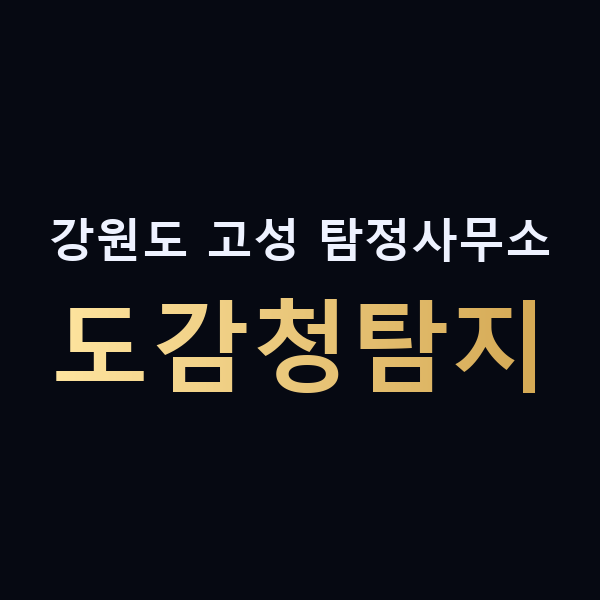 강원도 고성 탐정사무소 도감청탐지 맥가이버