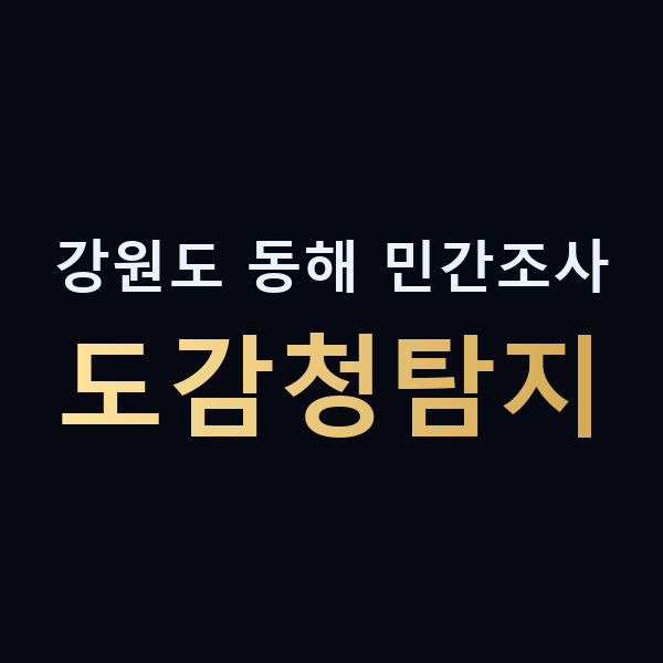 강원도 동해 민간조사 도감청탐지 맥가이버
