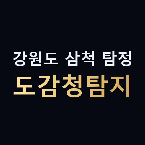 강원도 삼척 탐정 도감청탐지 맥가이버