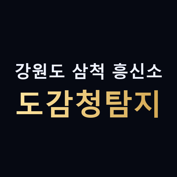 강원도 삼척 흥신소 도감청탐지 맥가이버