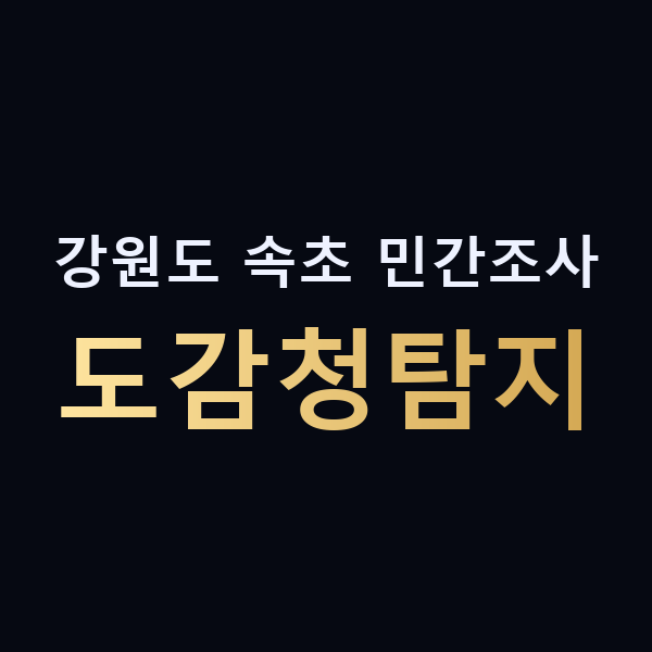 강원도 속초 민간조사 도감청탐지 맥가이버