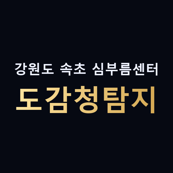 강원도 속초 심부름센터 도감청탐지 맥가이버