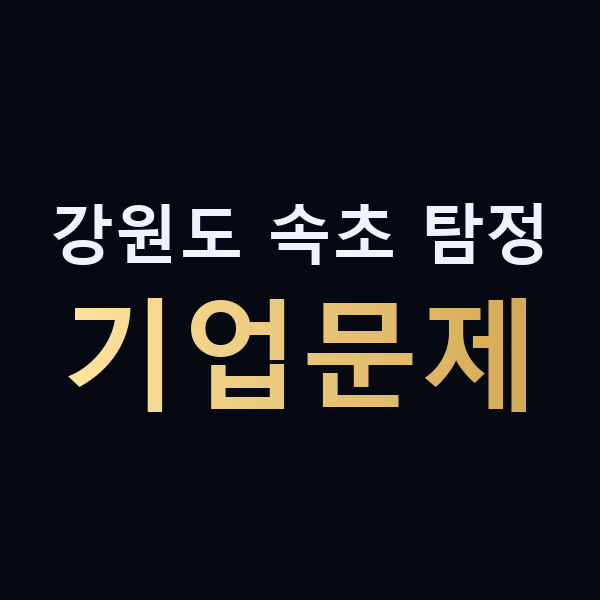 강원도 속초 탐정 기업문제 맥가이버