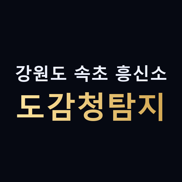 강원도 속초 흥신소 도감청탐지 맥가이버