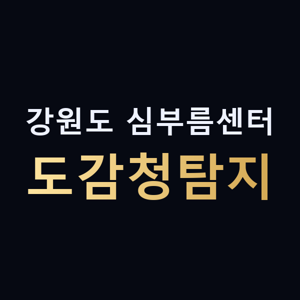 강원도 심부름센터 도감청탐지 맥가이버