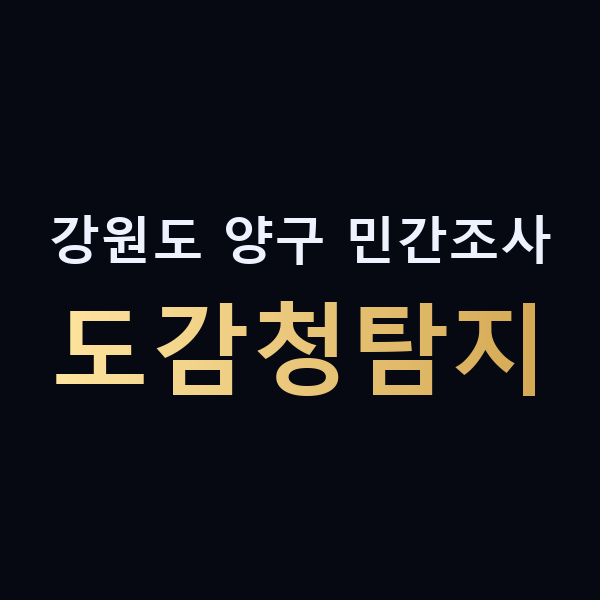 강원도 양구 민간조사 도감청탐지 맥가이버