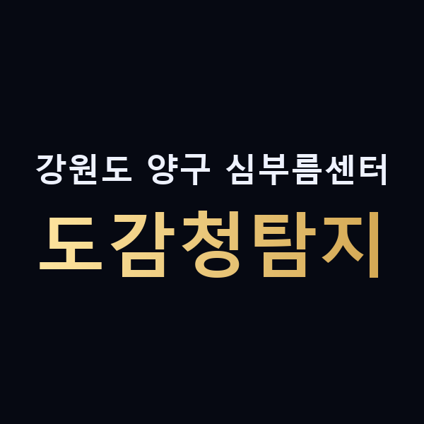 강원도 양구 심부름센터 도감청탐지 맥가이버