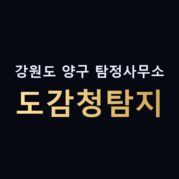 강원도 양구 탐정사무소 도감청탐지 맥가이버
