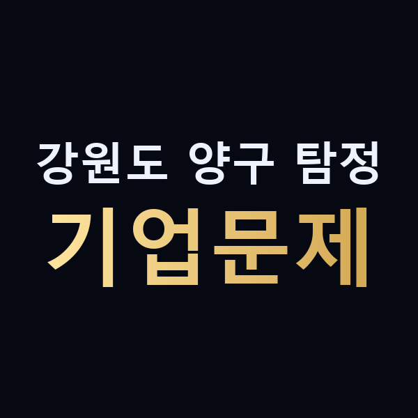 강원도 양구 탐정 기업문제 맥가이버