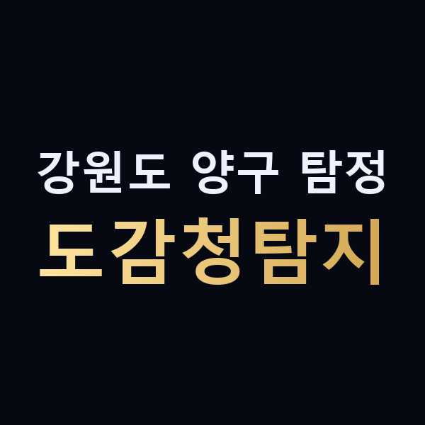 강원도 양구 탐정 도감청탐지 맥가이버
