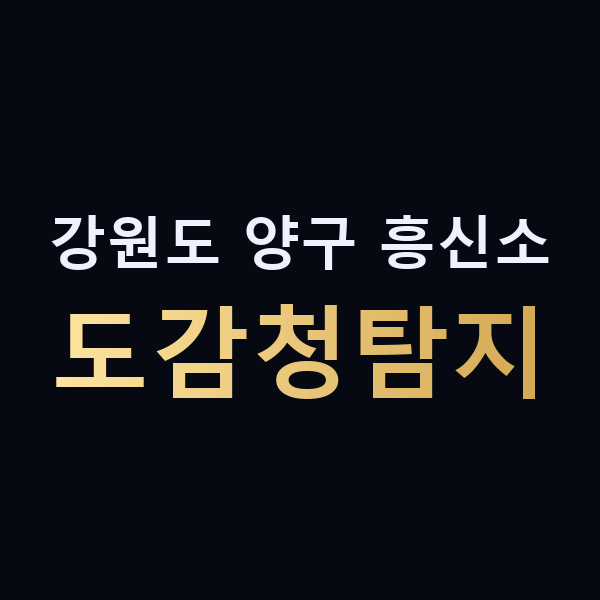 강원도 양구 흥신소 도감청탐지 맥가이버