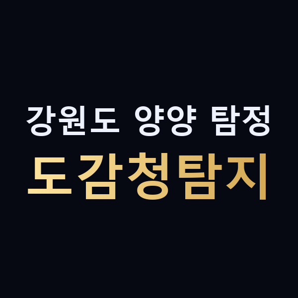 강원도 양양 탐정 도감청탐지 맥가이버