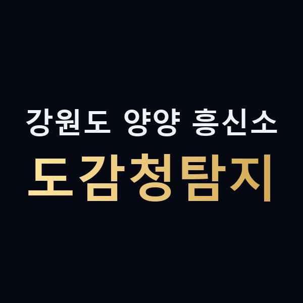 강원도 양양 흥신소 도감청탐지 맥가이버