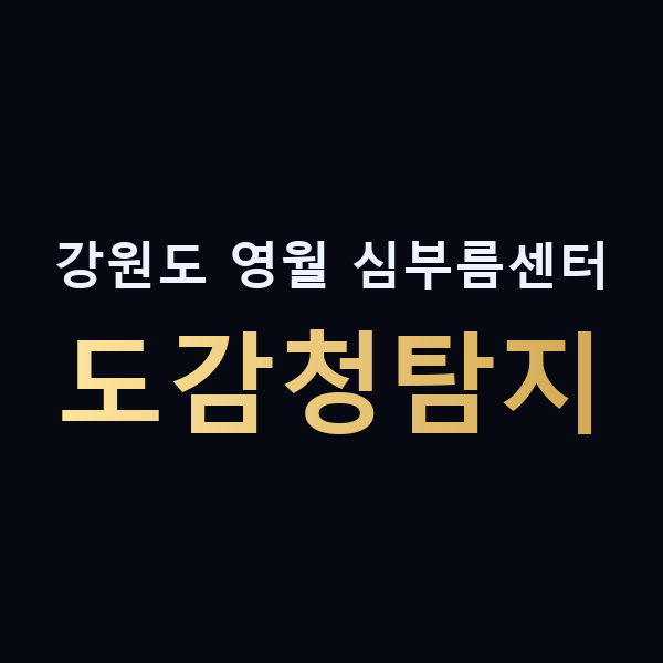 강원도 영월 심부름센터 도감청탐지 맥가이버