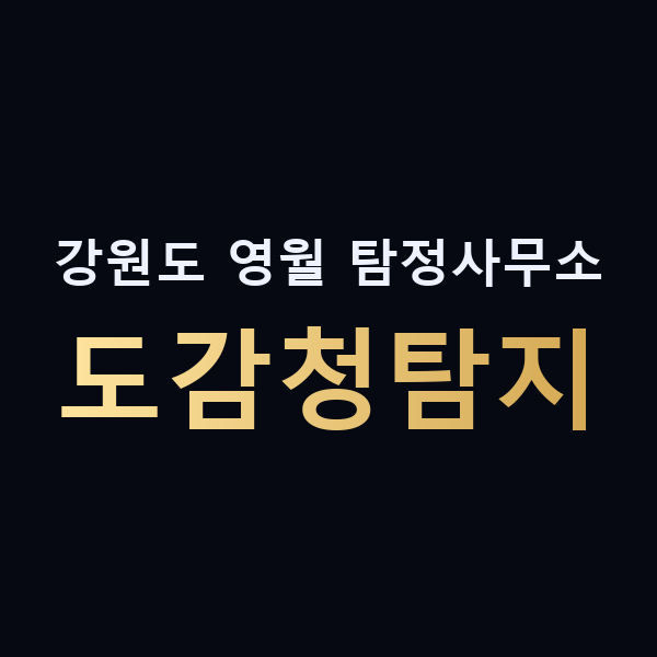 강원도 영월 탐정사무소 도감청탐지 맥가이버
