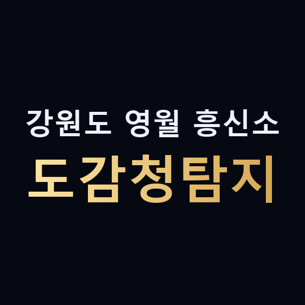 강원도 영월 흥신소 도감청탐지 맥가이버