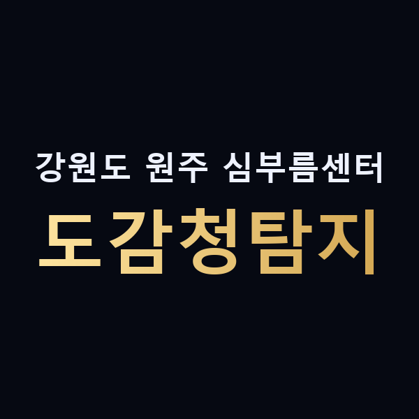 강원도 원주 심부름센터 도감청탐지 맥가이버