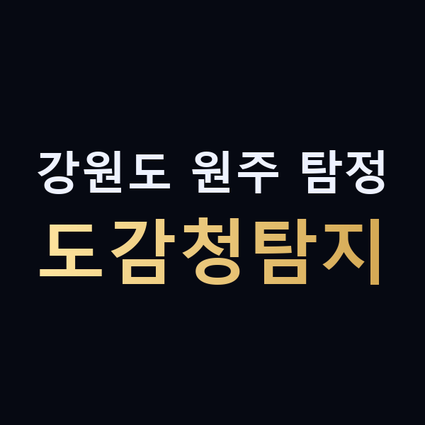 강원도 원주 탐정 도감청탐지 맥가이버