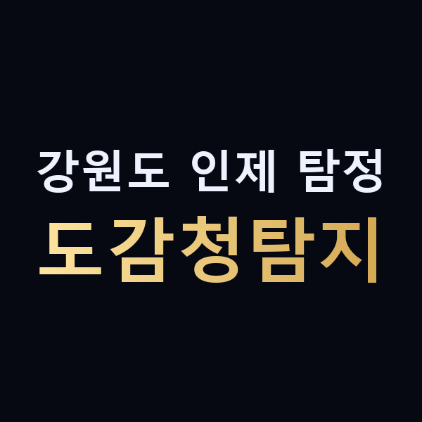 강원도 인제 탐정 도감청탐지 맥가이버