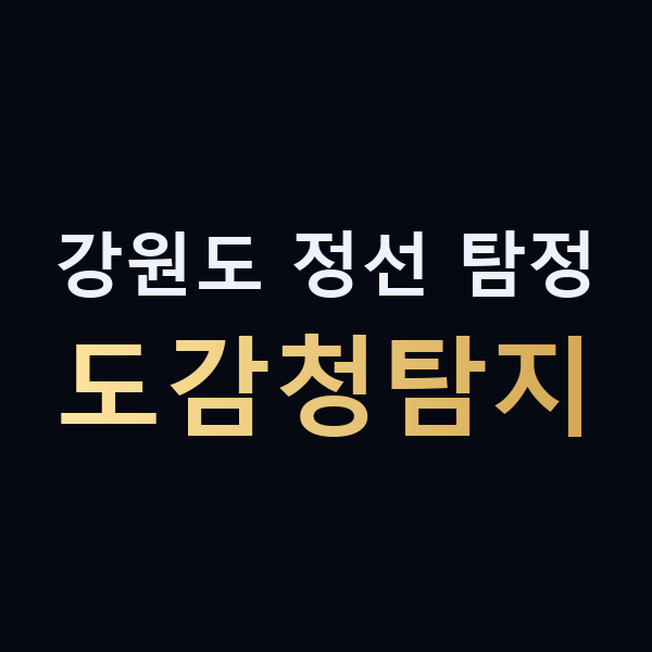강원도 정선 탐정 도감청탐지 맥가이버