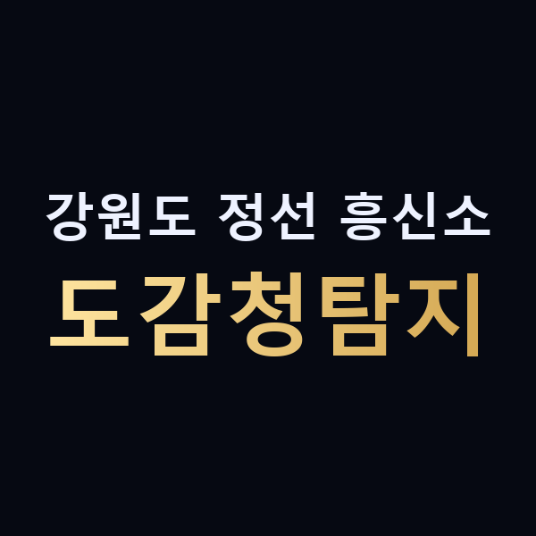 강원도 정선 흥신소 도감청탐지 맥가이버