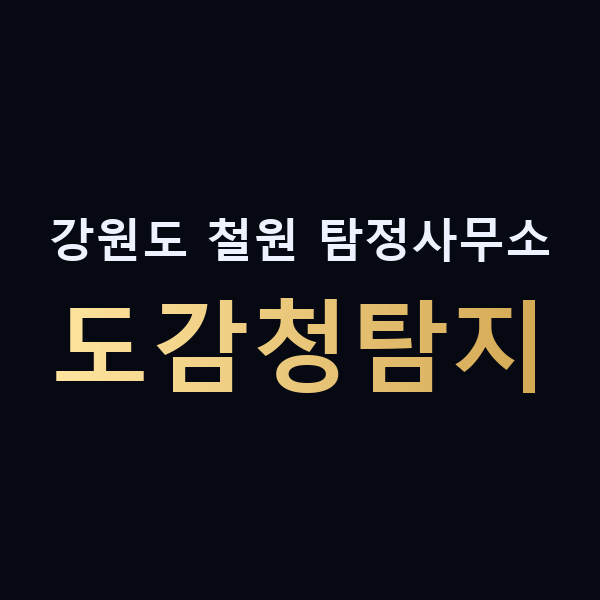 강원도 철원 탐정사무소 도감청탐지 맥가이버