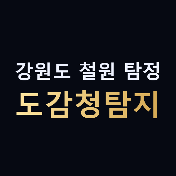 강원도 철원 탐정 도감청탐지 맥가이버