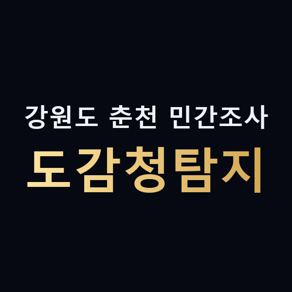 강원도 춘천 민간조사 도감청탐지 맥가이버