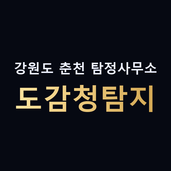 강원도 춘천 탐정사무소 도감청탐지 맥가이버