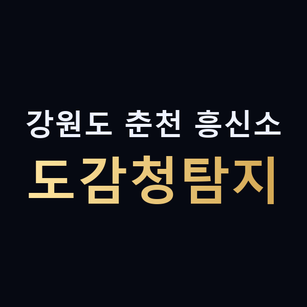 강원도 춘천 흥신소 도감청탐지 맥가이버