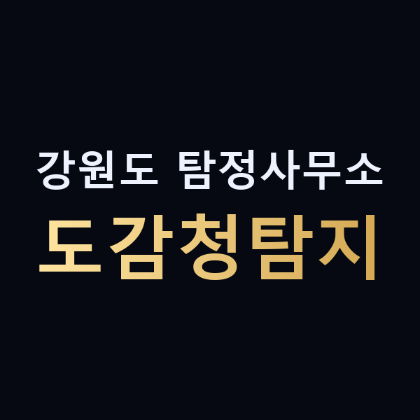 강원도 탐정사무소 도감청탐지 맥가이버
