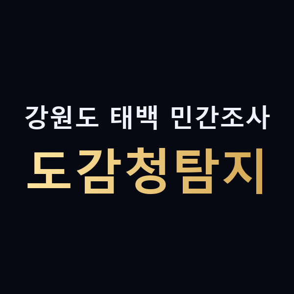 강원도 태백 민간조사 도감청탐지 맥가이버
