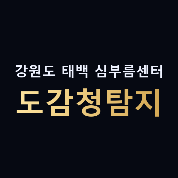 강원도 태백 심부름센터 도감청탐지 맥가이버