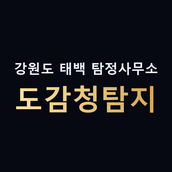 강원도 태백 탐정사무소 도감청탐지 맥가이버