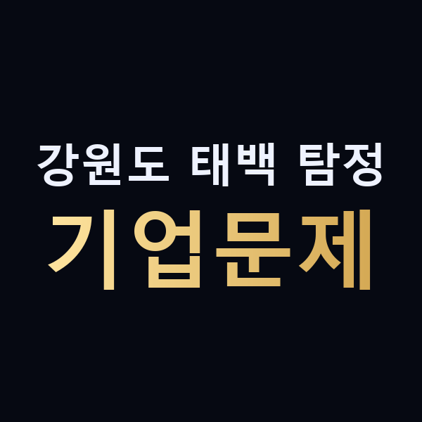 강원도 태백 탐정 기업문제 맥가이버