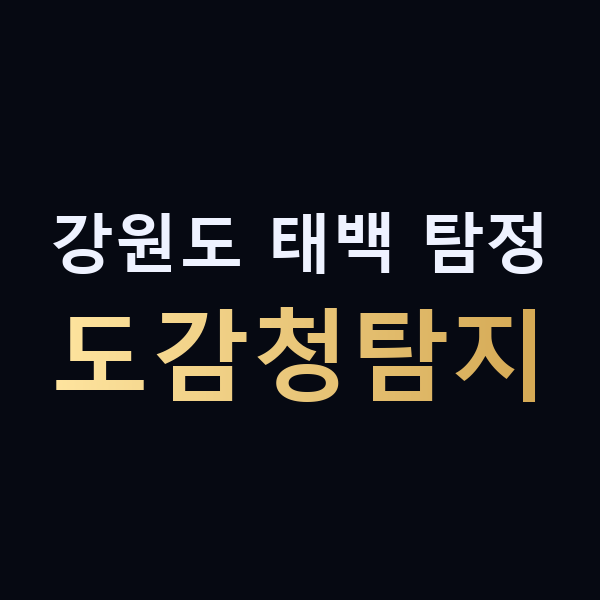 강원도 태백 탐정 도감청탐지 맥가이버