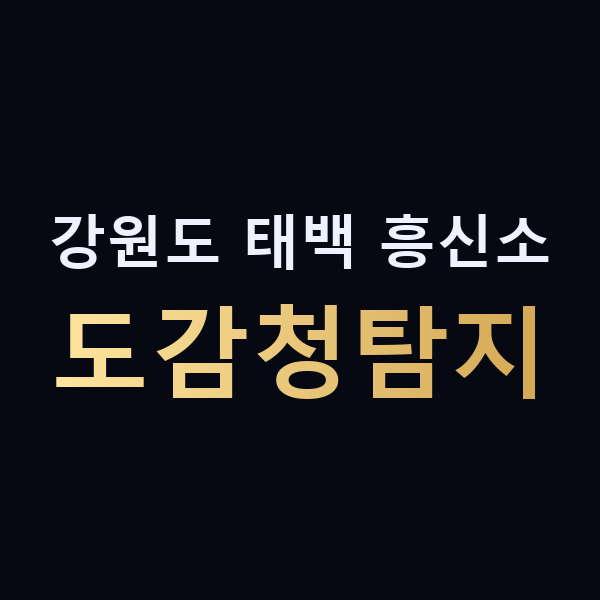 강원도 태백 흥신소 도감청탐지 맥가이버