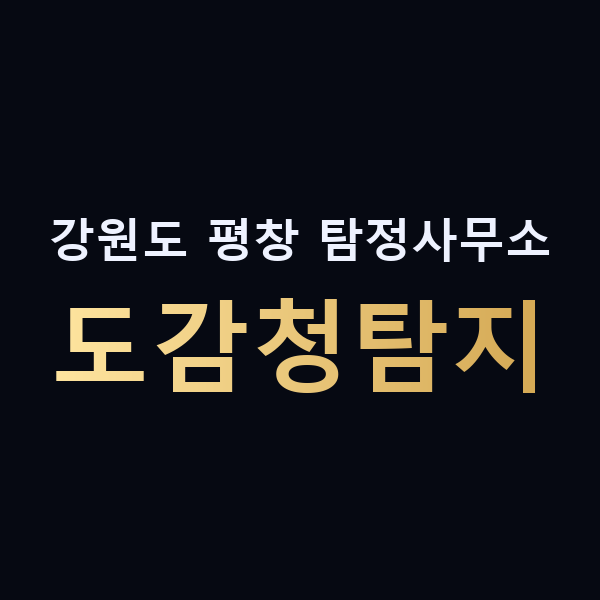 강원도 평창 탐정사무소 도감청탐지 맥가이버
