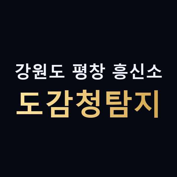 강원도 평창 흥신소 도감청탐지 맥가이버