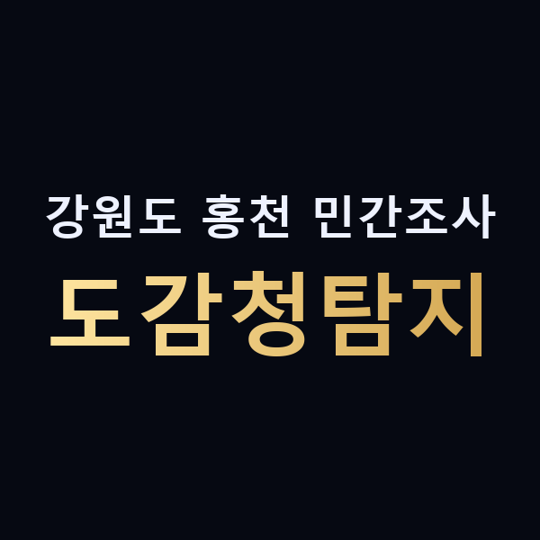 강원도 홍천 민간조사 도감청탐지 맥가이버