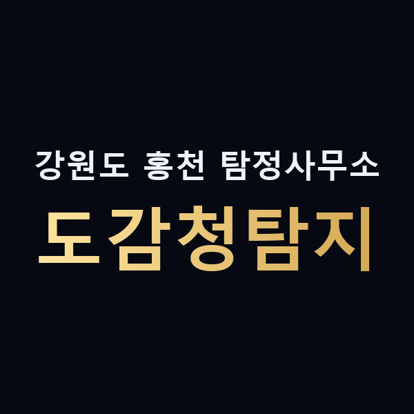 강원도 홍천 탐정사무소 도감청탐지 맥가이버