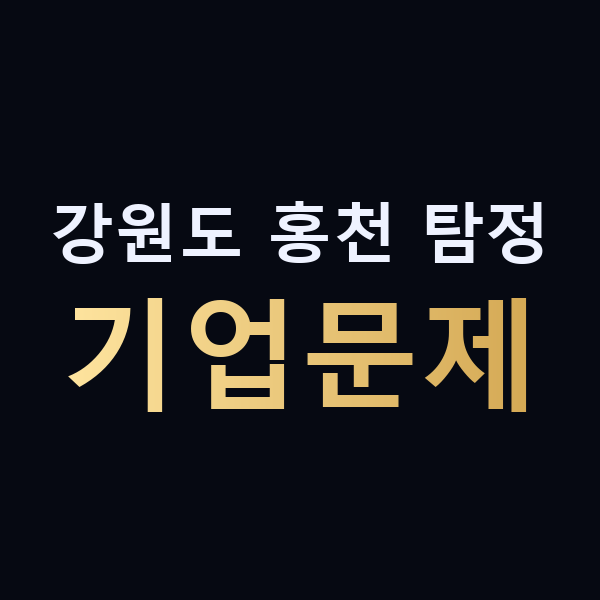 강원도 홍천 탐정 기업문제 맥가이버