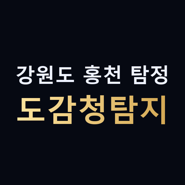강원도 홍천 탐정 도감청탐지 맥가이버
