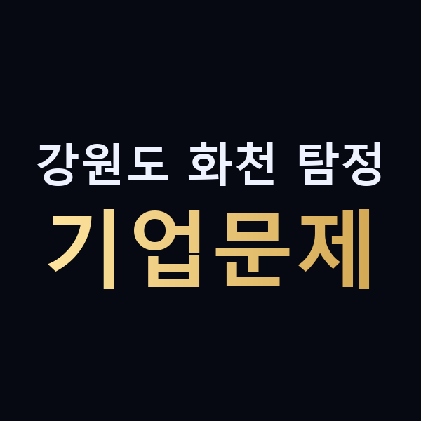 강원도 화천 탐정 기업문제 맥가이버