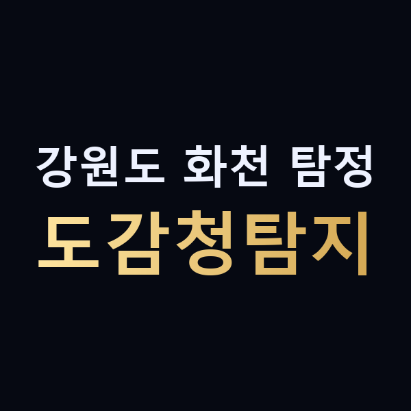강원도 화천 탐정 도감청탐지 맥가이버