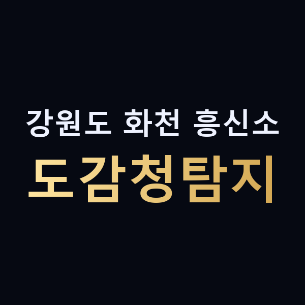 강원도 화천 흥신소 도감청탐지 맥가이버